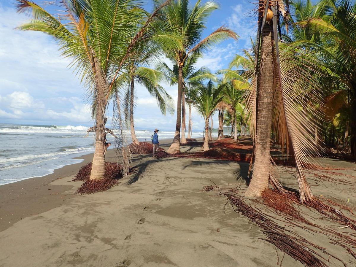 Morrillo Beach Eco Resort Zewnętrze zdjęcie
